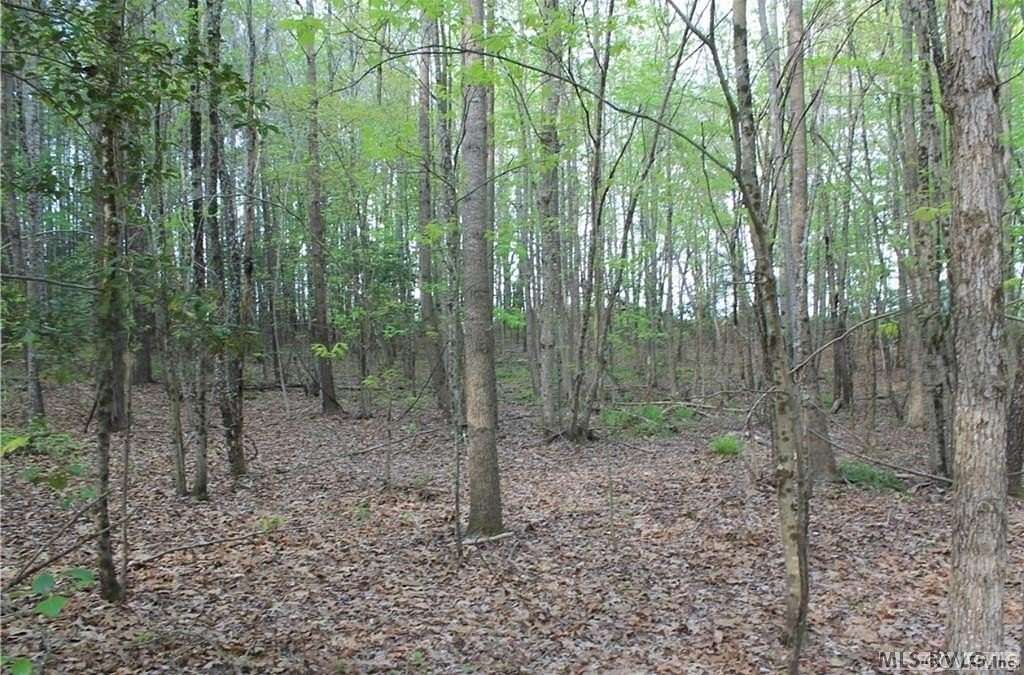6.4 Acres of Residential Land for Sale in Brodnax, Virginia