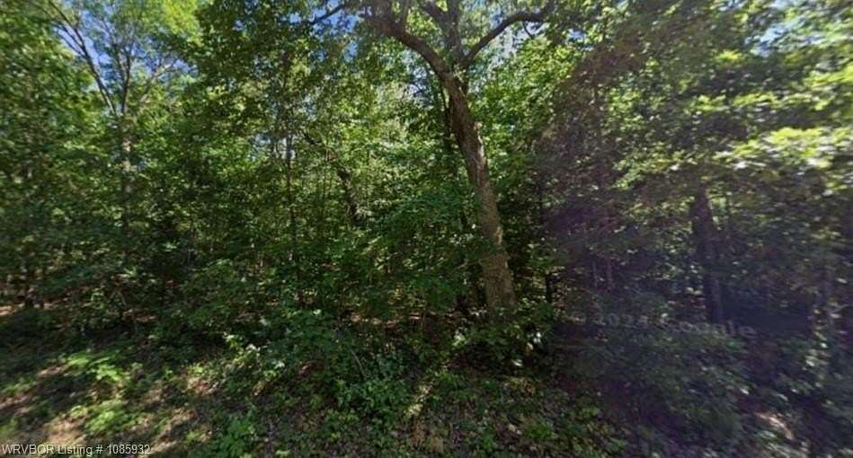 0.31 Acres of Residential Land for Sale in Cherokee Township, Arkansas