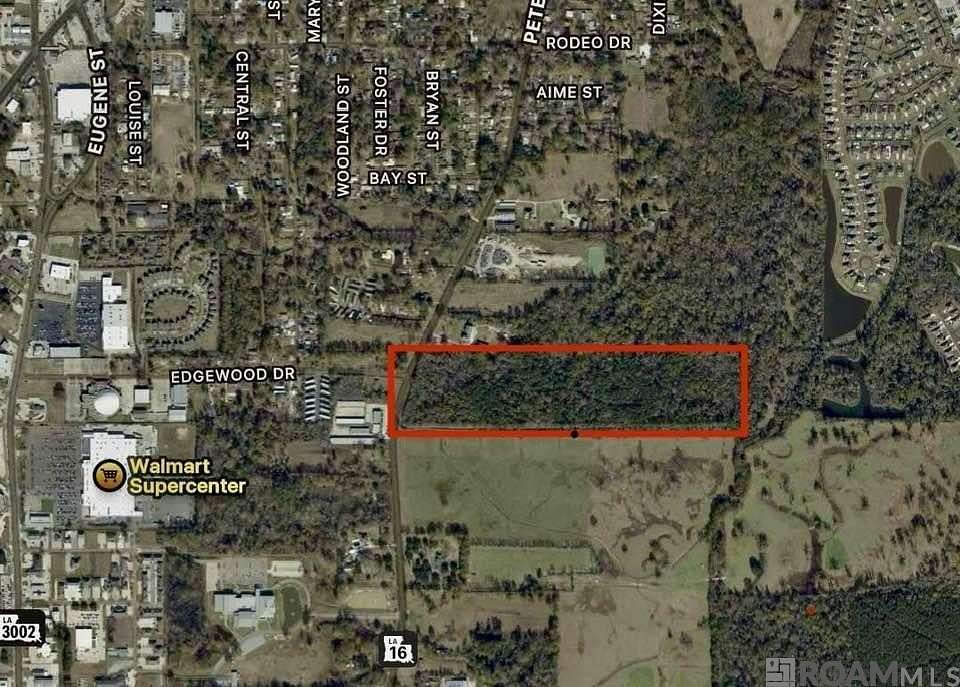 29.5 Acres of Recreational Land for Sale in Denham Springs, Louisiana