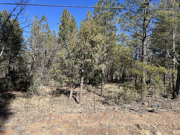 1.26 Acres of Residential Land for Sale in Lakeside, Arizona