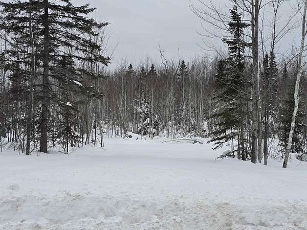 10 Acres of Land for Sale in L'Anse, Michigan