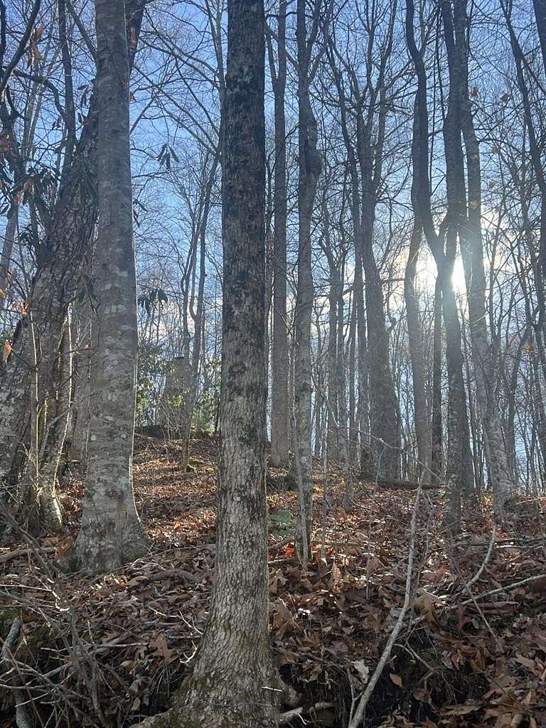 0.19 Acres of Land for Sale in Topton, North Carolina