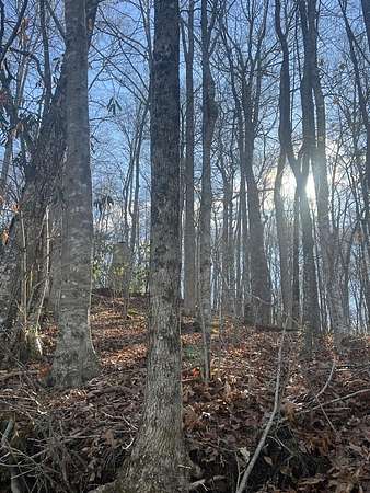 0.19 Acres of Residential Land for Sale in Topton, North Carolina