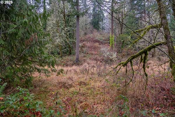 6.38 Acres of Residential Land for Sale in Gaston, Oregon