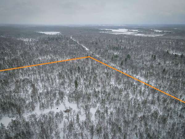 80 Acres of Recreational Land for Sale in Free Soil, Michigan