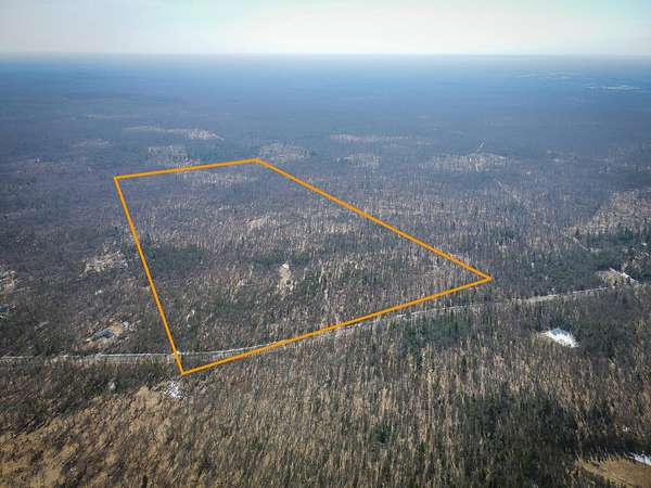 80 Acres of Recreational & Residential Land for Sale in Free Soil, Michigan