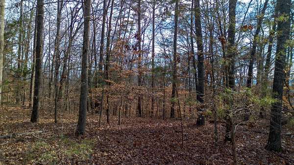 5 Acres of Land for Sale in Dandridge, Tennessee