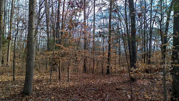 5 Acres of Land for Sale in Dandridge, Tennessee