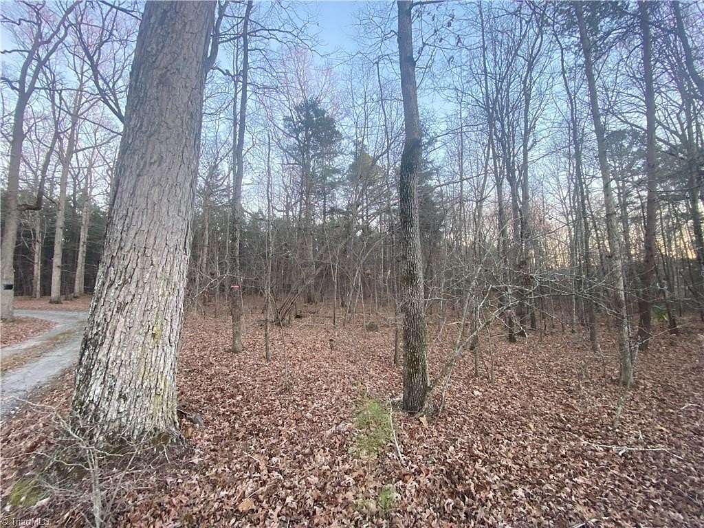 0.97 Acres of Residential Land for Sale in Julian, North Carolina