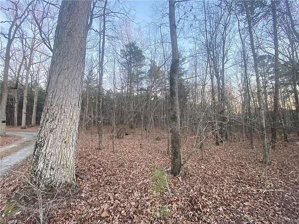 0.97 Acres of Residential Land for Sale in Julian, North Carolina