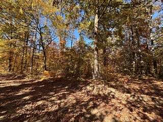 0.3 Acres of Land for Sale in Broken Bow, Oklahoma