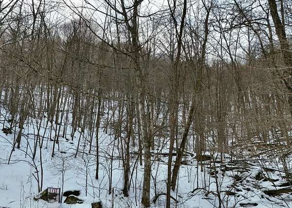 2.4 Acres of Residential Land for Sale in Hillsboro, West Virginia