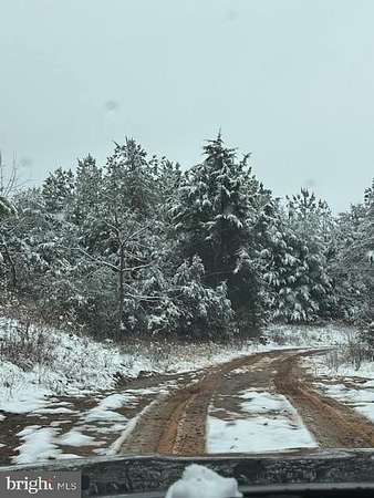 25 Acres of Recreational Land for Sale in Esmont, Virginia