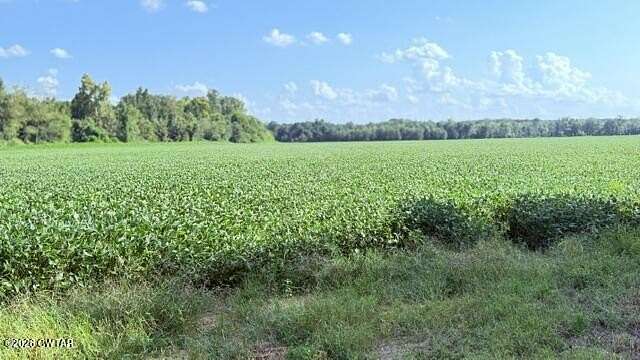 85 Acres of Land for Sale in Medina, Tennessee