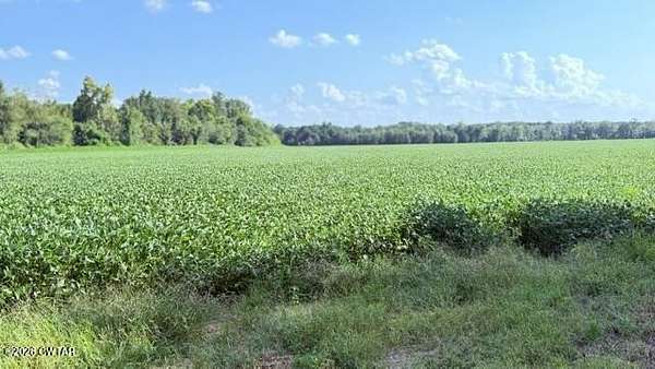85 Acres of Land for Sale in Medina, Tennessee
