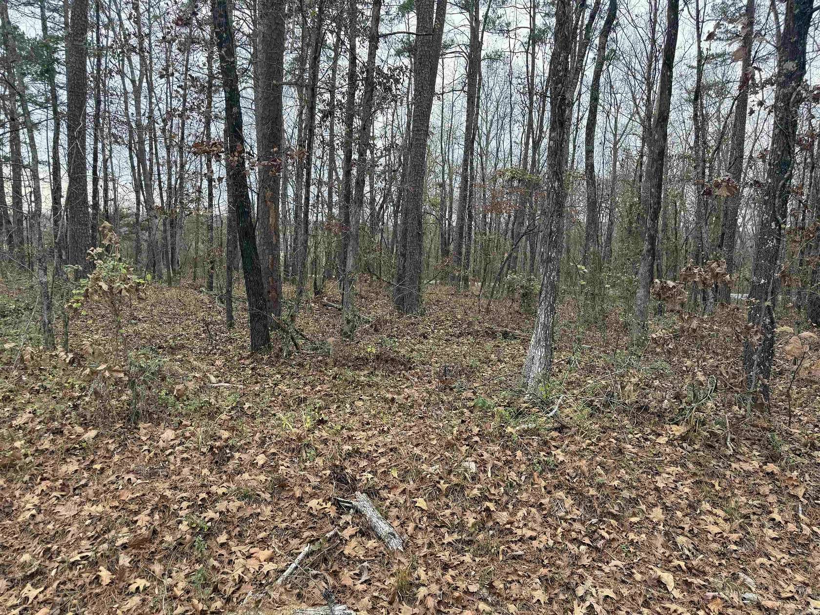 0.24 Acres of Residential Land for Sale in Hot Springs Village, Arkansas