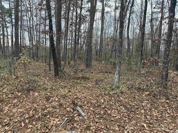 0.24 Acres of Residential Land for Sale in Hot Springs Village, Arkansas
