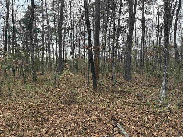 0.28 Acres of Residential Land for Sale in Hot Springs Village, Arkansas