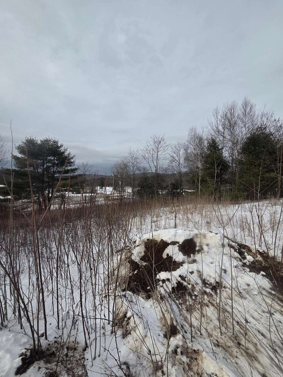 13.2 Acres of Land for Sale in Jay, Maine