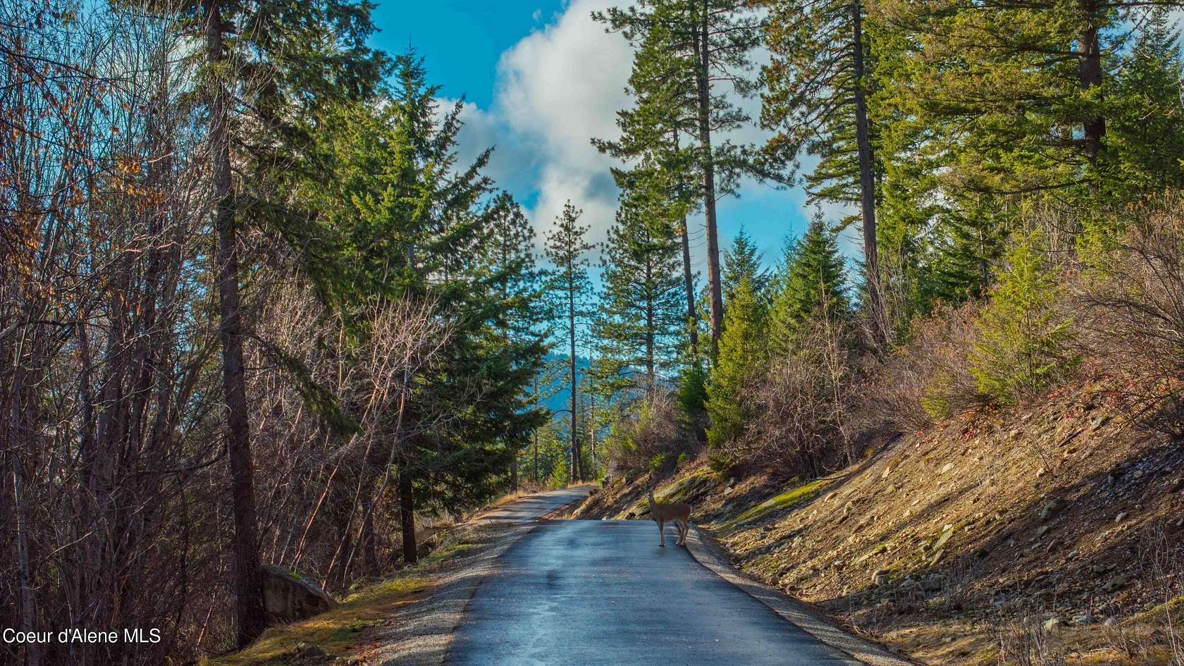 20.8 Acres of Land for Sale in Sandpoint, Idaho