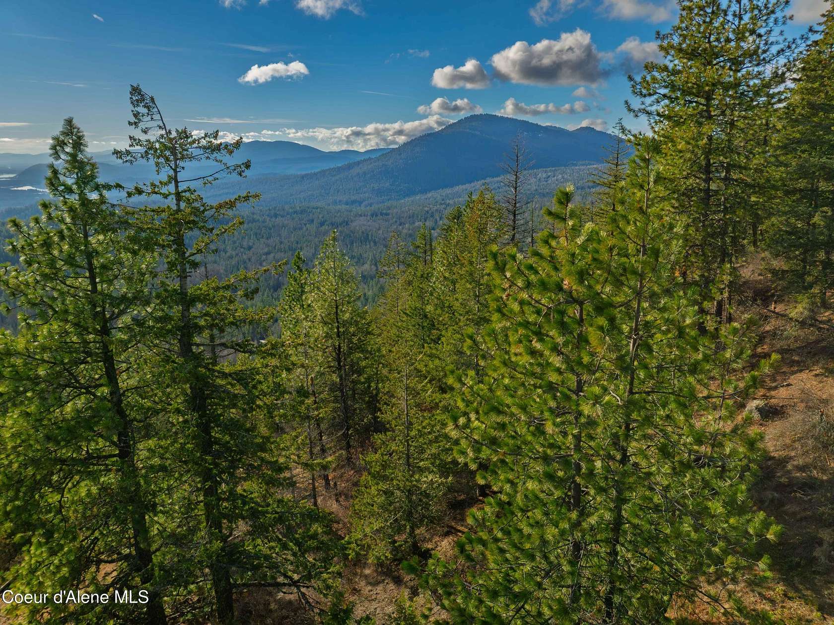 20.8 Acres of Land for Sale in Sandpoint, Idaho