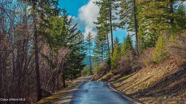 20.8 Acres of Land for Sale in Sandpoint, Idaho