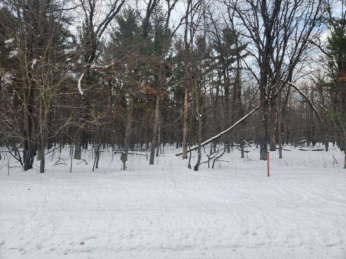 4.88 Acres of Residential Land for Sale in Arkdale, Wisconsin