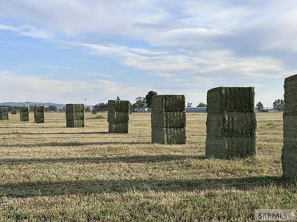 170 Acres of Agricultural Land with Home for Sale in Firth, Idaho