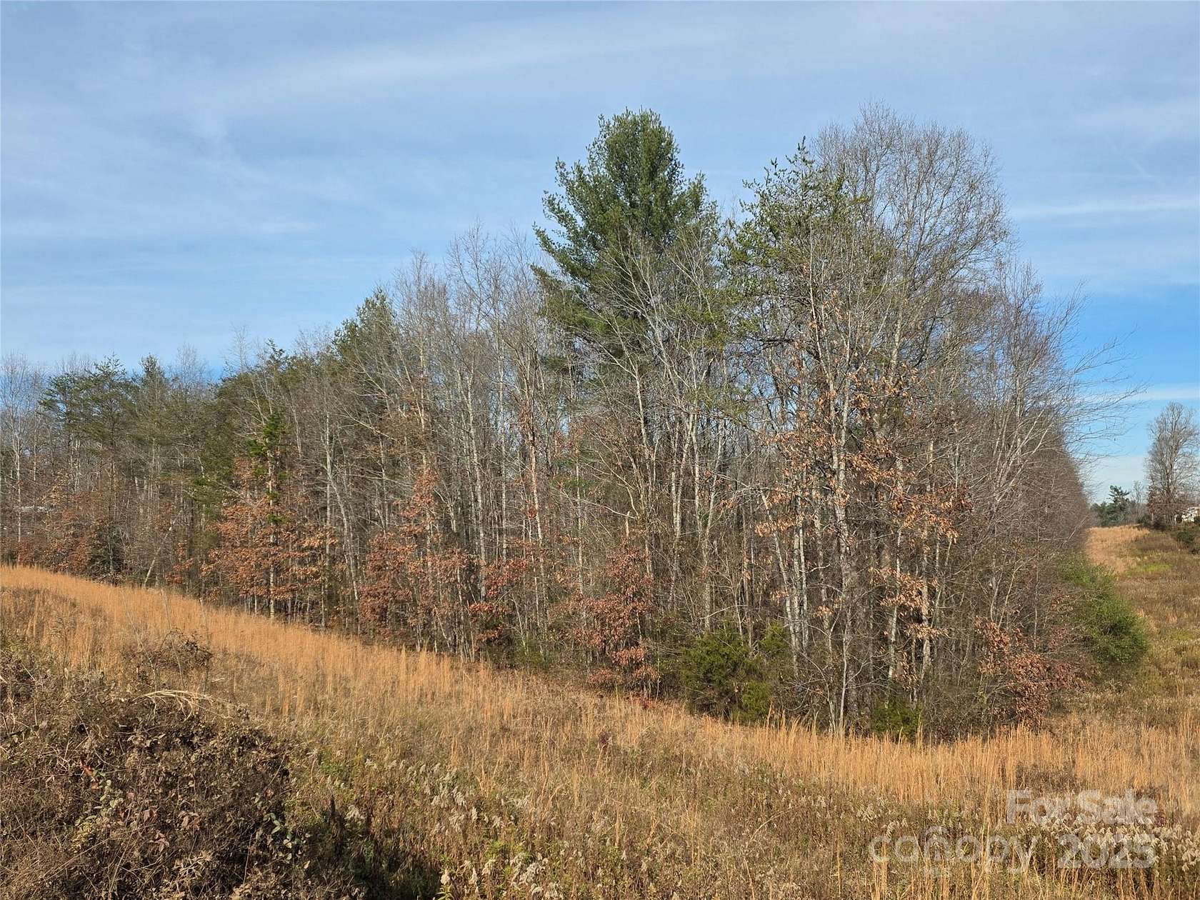 11 Acres of Land for Sale in Morganton, North Carolina