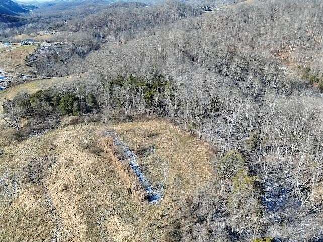 43.3 Acres of Recreational Land for Sale in Cedar Bluff, Virginia