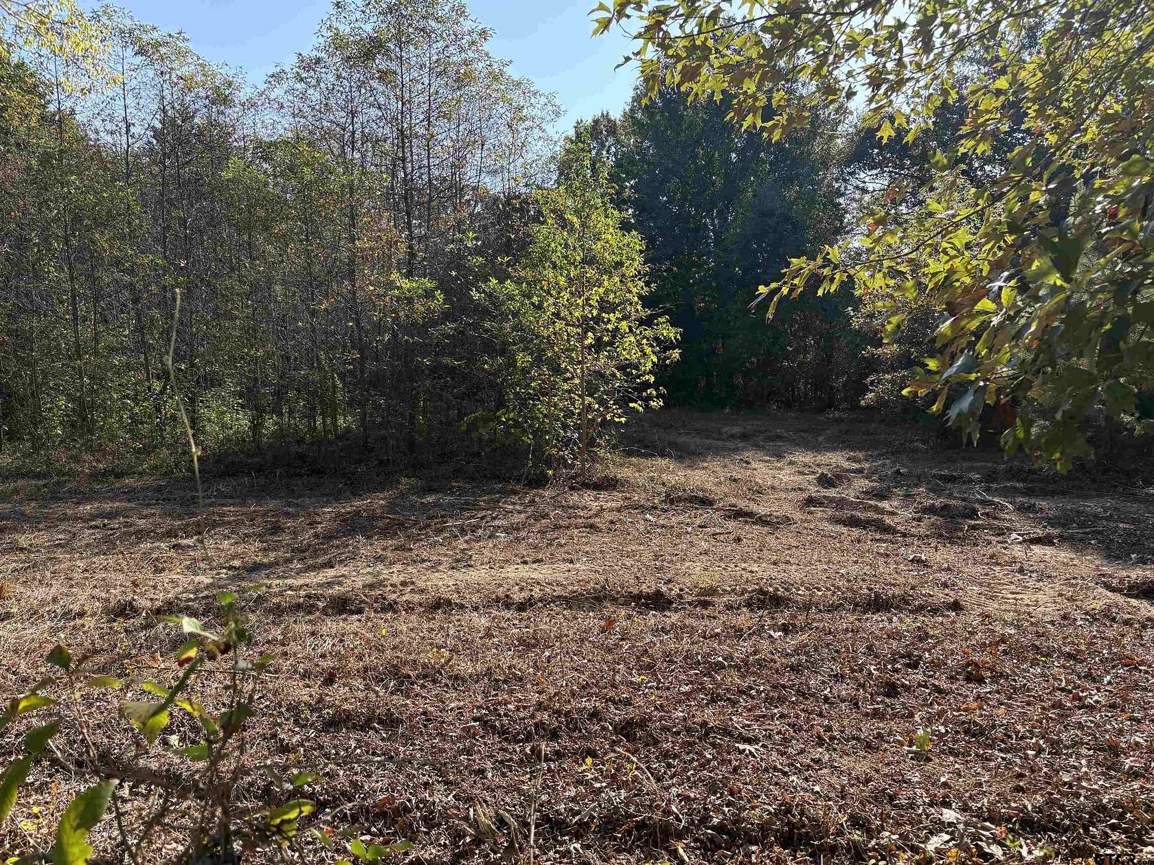 6 Acres of Land for Sale in Brownsboro, Texas