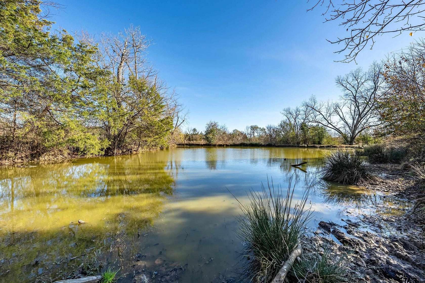 29.8 Acres of Recreational Land & Farm for Sale in Tyler, Texas