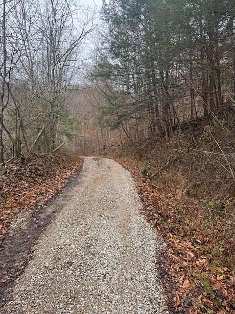 126 Acres of Land for Sale in Helton, Kentucky