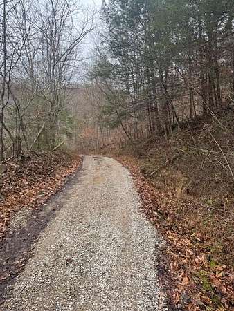 126 Acres of Land for Sale in Helton, Kentucky