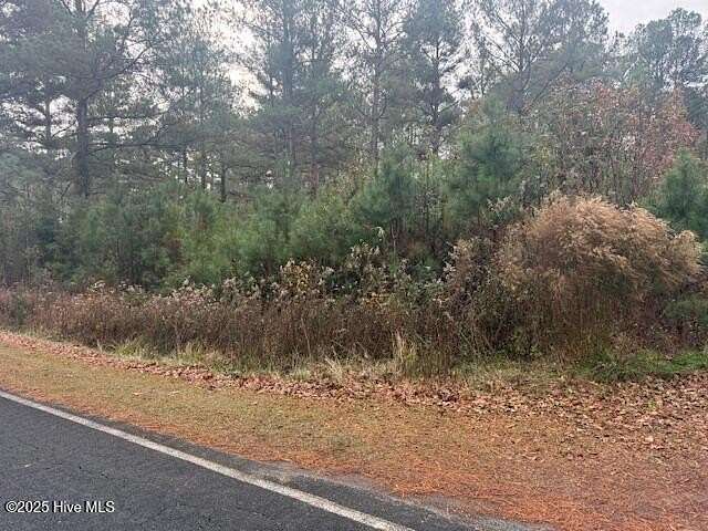 0.6 Acres of Residential Land for Sale in Lake Waccamaw, North Carolina