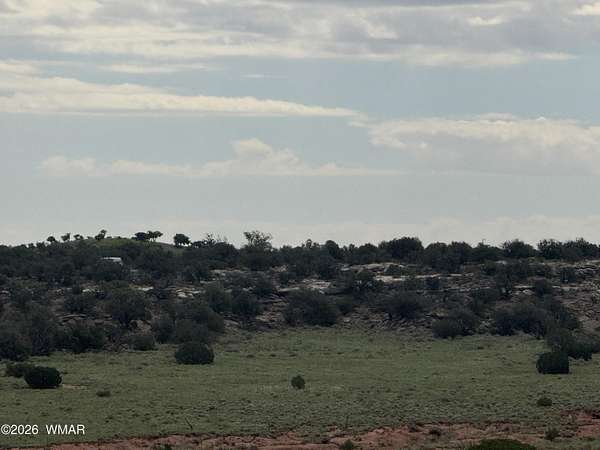 40.4 Acres of Land for Sale in Snowflake, Arizona