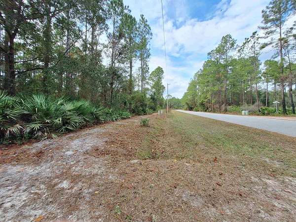 5.46 Acres of Agricultural Land for Sale in Georgetown, Florida