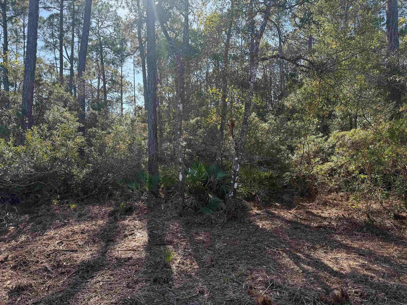 0.71 Acres of Land for Sale in Panacea, Florida