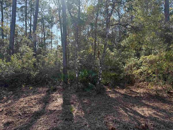 0.71 Acres of Land for Sale in Panacea, Florida