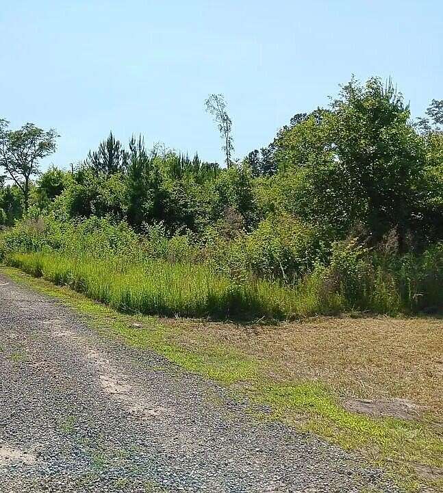 4.8 Acres of Residential Land for Sale in St. George, South Carolina