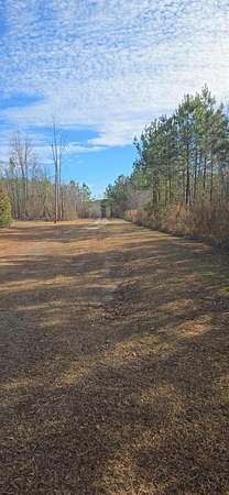 4.8 Acres of Residential Land for Sale in St. George, South Carolina