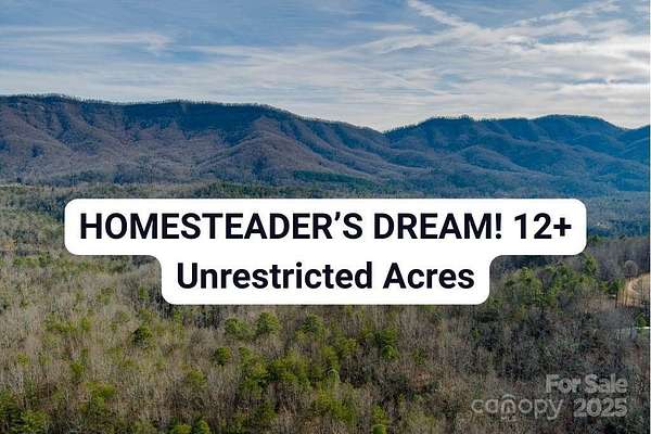 12.1 Acres of Recreational & Residential Land for Sale in Old Fort, North Carolina