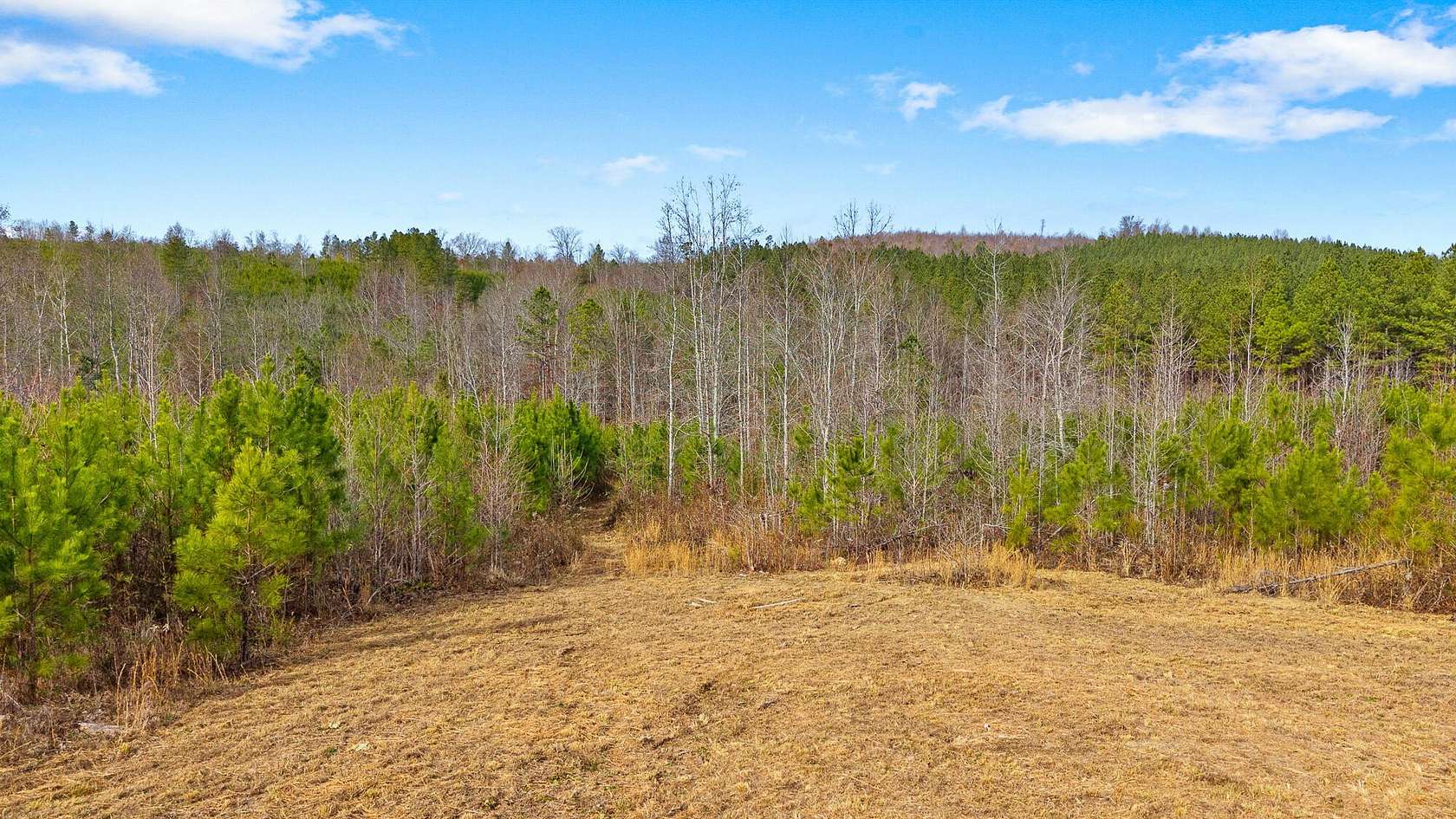 15.7 Acres of Land for Sale in Decatur, Tennessee