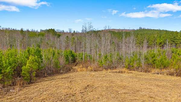 15.7 Acres of Land for Sale in Decatur, Tennessee