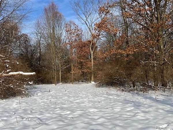 10.1 Acres of Land for Sale in Deerfield Township, Michigan