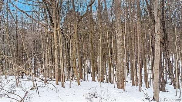 12 Acres of Land for Sale in Metamora, Michigan