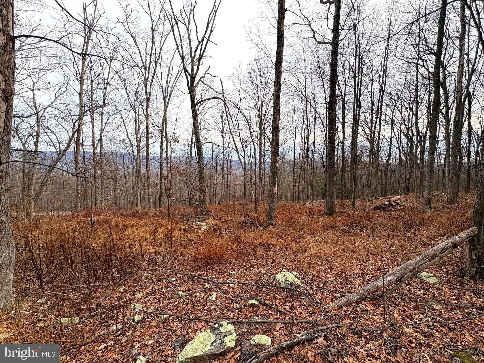10 Acres of Recreational Land for Sale in Paw Paw, West Virginia