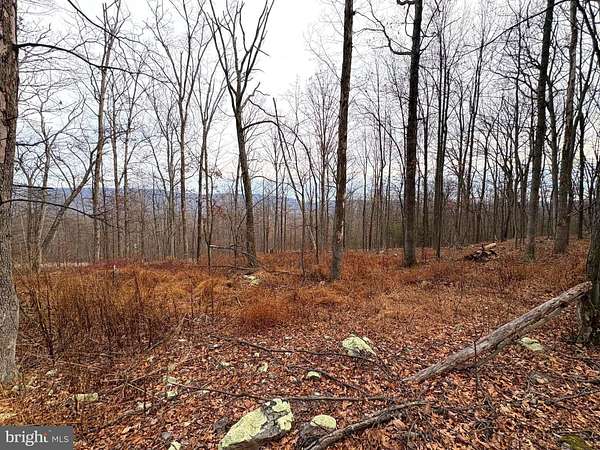 10 Acres of Recreational Land for Sale in Paw Paw, West Virginia