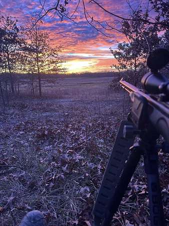 20 Acres of Recreational Land for Sale in Wheatfield, Indiana