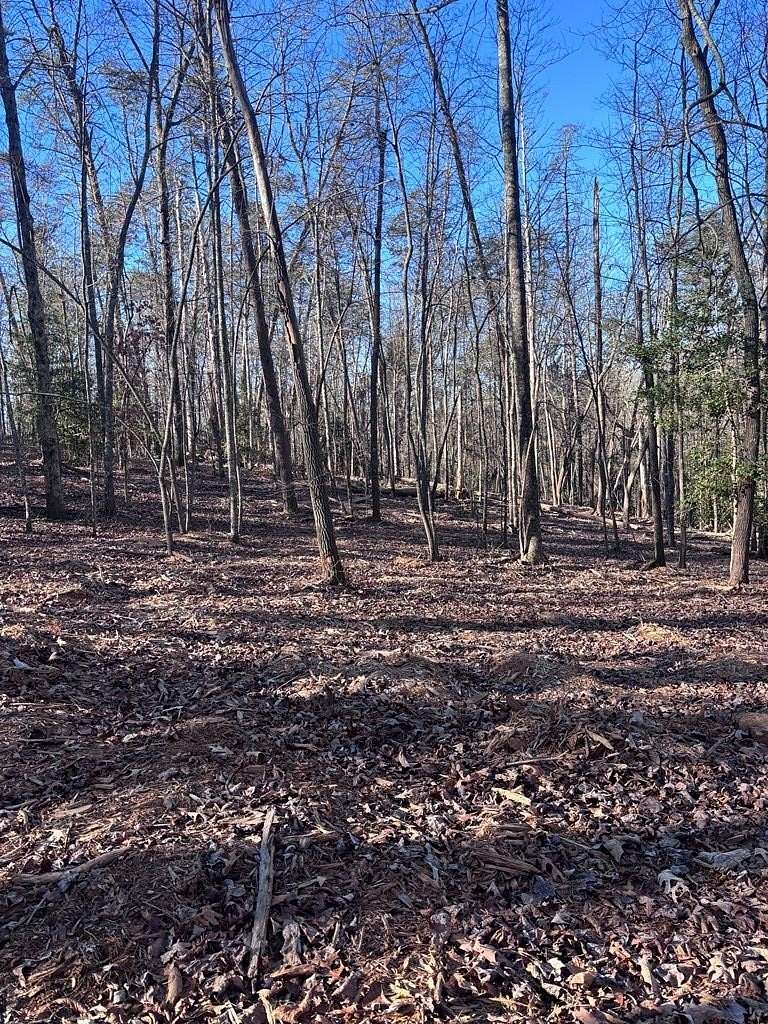 3 Acres of Residential Land for Sale in Blue Ridge, Georgia
